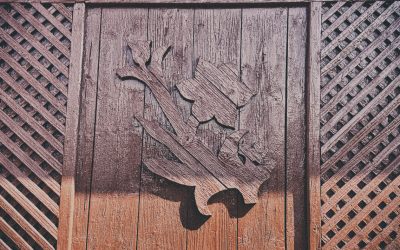 Poartă de șură din Copalnic 06